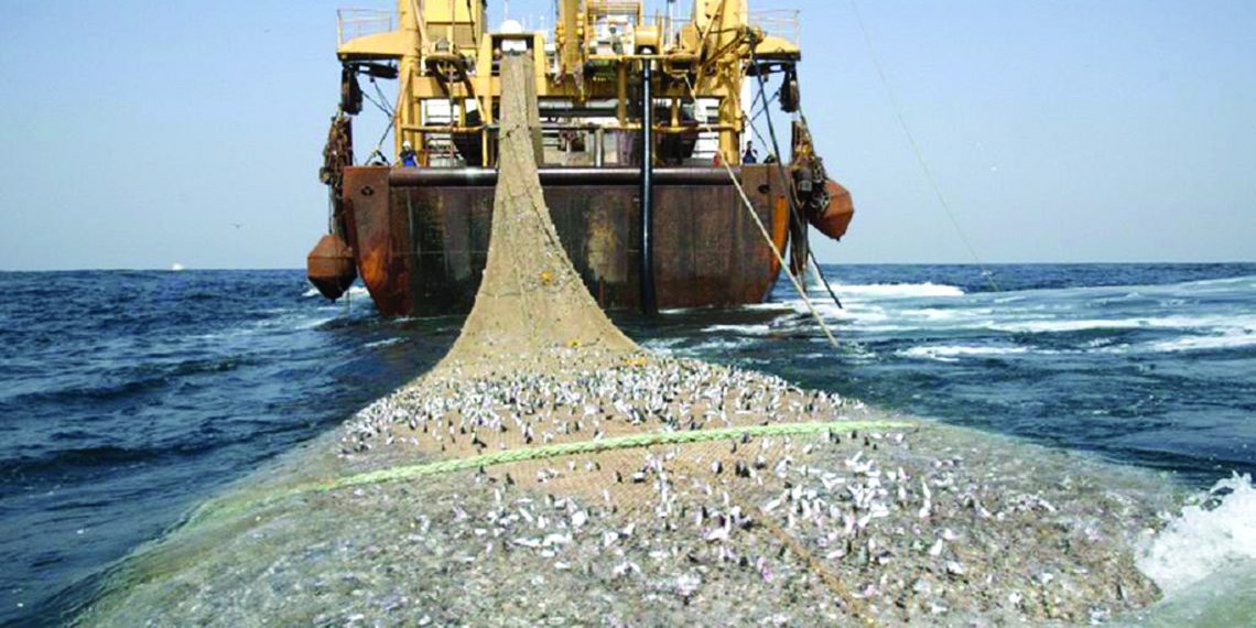 Overfishing Depleting Fish Stocks in Ghanaian Waters, Researcher Warns