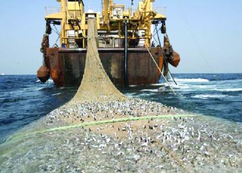 Overfishing Depleting Fish Stocks in Ghanaian Waters, Researcher Warns