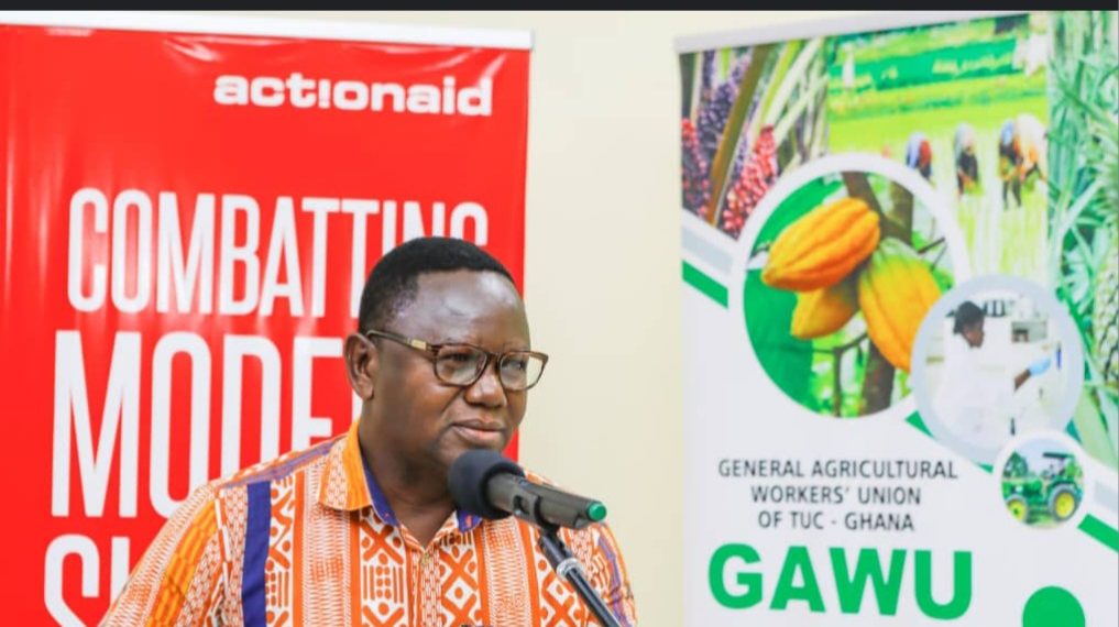 Severe Shortage of Vegetables in Ghana Caused by Illegal Mining Activities – GAWU