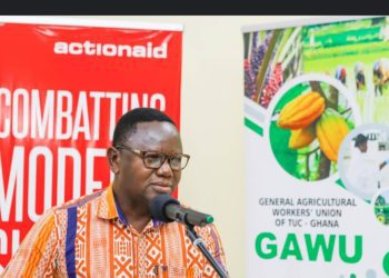 Severe Shortage of Vegetables in Ghana Caused by Illegal Mining Activities – GAWU