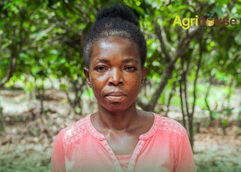 Turning Family Savings into Farming Success: The Inspirational Journey of Ernestina Yeboah