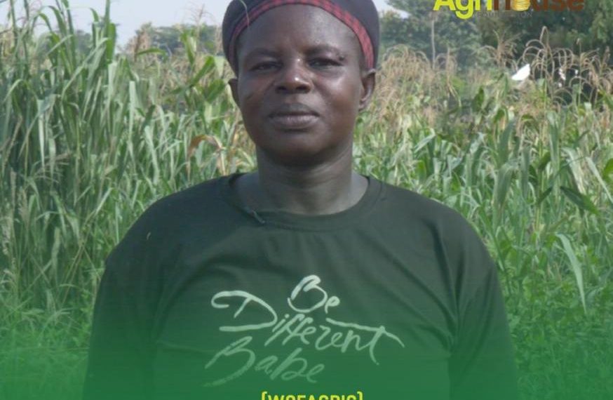 From 5 Acres To 70: Akua Benipour’s Agricultural Journey Earns her a Gold In The Soil Award Nomination