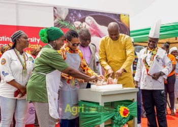 Youth Urged to Invest in Poultry Sector