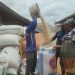 Impending Maize Shortage Alarms Traders in Bono East Region