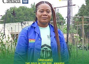 Meet Vera Enyonam Osei Kwakye,A 43year old Farmer Revolutionizing Agriculture in the Bono Region