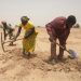 FAO and EU Sign €47 Million Programme to Enhance Resilience and Food Security for Eastern African Pastoralists