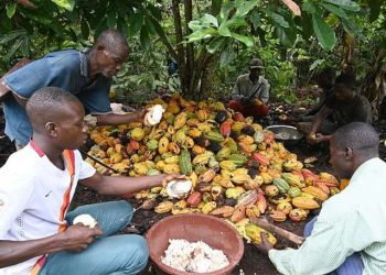 Cocoa Farmers in Atwima Enclave Receive Free Eye Screening