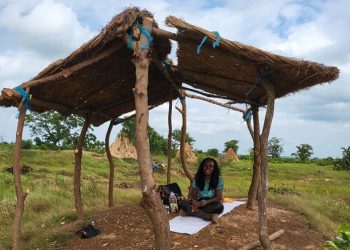 The Growth And Fulfillment Of The USAID Advance Pre-Harvest Agribusiness Exhibitions And Conference In Ghana