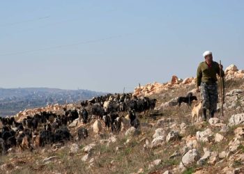 Food Insecurity Worsens in Lebanon Amid Conflict Food Insecurity Worsens in Lebanon Amid Conflict