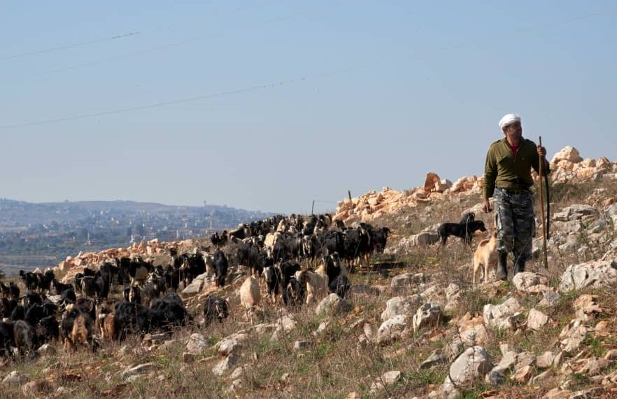 Food Insecurity Worsens in Lebanon Amid Conflict Food Insecurity Worsens in Lebanon Amid Conflict