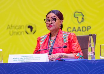 Youth Encouraged to Play a Key Role in Transforming Africa’s Food Systems