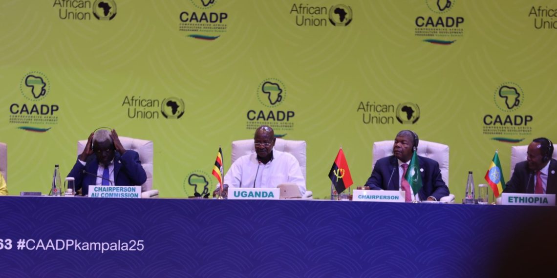 African Union Adopts New Strategy for the Development of the Agricultural Sector African Union Adopts New Strategy for the Development of the Agricultural Sector