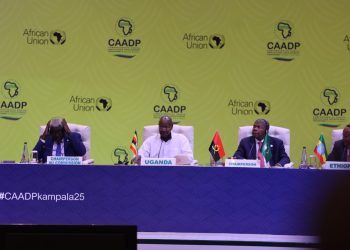 African Union Adopts New Strategy for the Development of the Agricultural Sector