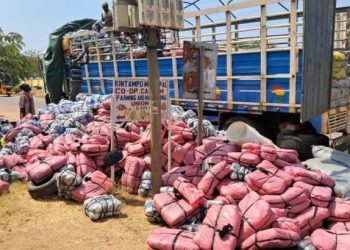 Police Arrest Two for Alleged Cocoa Bean Smuggling to Burkina Faso