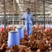 Iowa Marks First Bird Flu Case of 2025 in Clinton County Iowa Marks First Bird Flu Case of 2025 in Clinton County