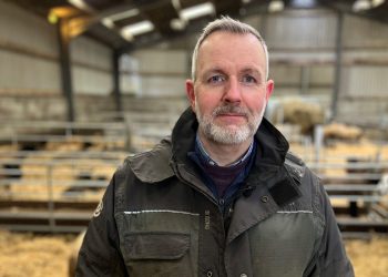 Farmers fear being ‘wiped out’ if any more diseases strike