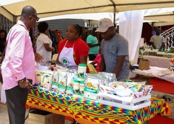 Global Business Growth: How to Navigate International Expansion Successfully