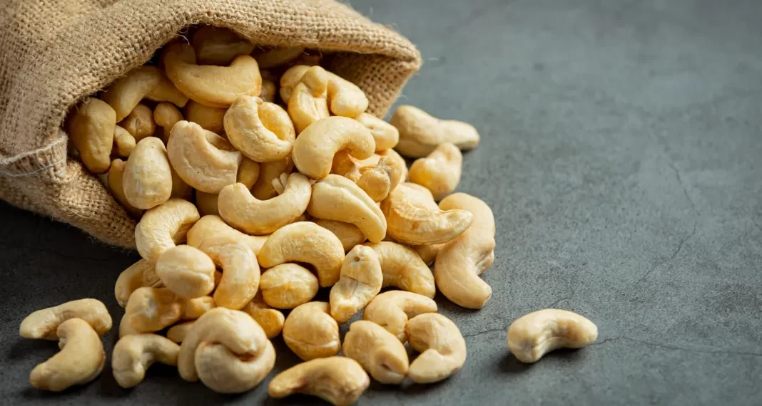 Cashew traders cautioned on illegal exports Cashew traders cautioned on illegal exports