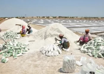 FDA to crack the whip on non-iodised salt producers to curb iodine deficiency disorders