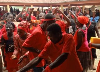 Cocoa Farmers call for government intervention to save their farmlands 