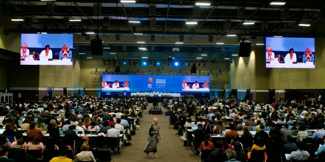 UN Biodiversity Conference COP16 talks resume in Rome: What’s at stake? UN Biodiversity Conference COP16 talks resume in Rome: What’s at stake?