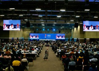 UN Biodiversity Conference COP16 talks resume in Rome: What’s at stake?