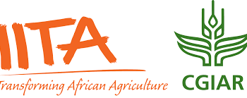 IITA launches DG’s Talk Webinar Series with inaugural discussion on global agricultural productivity