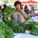 North West Agriculture and Rural Development Launches Farmers Market Day to Empower Local Farmers in South Africa North West Agriculture and Rural Development Launches Farmers Market Day to Empower Local Farmers in South Africa