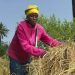 International Fund for Agricultural Development and the Development Bank of Southern Africa partner for rural development across Africa International Fund for Agricultural Development and the Development Bank of Southern Africa partner for rural development across Africa