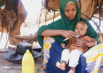 Somalia: Drought, conflict and high food prices risk pushing 4.4 million people into hunger, The Federal Government of Somalia and UN warn