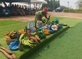 Ofie Market Launched to Reduce Post-Harvest Losses and Boost Agribusiness in Akwapem North