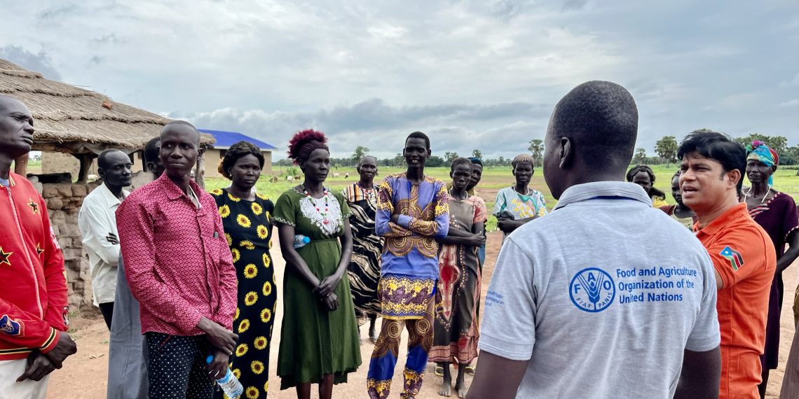 G20: Food security is vital for peace, stability and human dignity, FAO says G20: Food security is vital for peace, stability and human dignity, FAO says