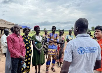 G20: Food security is vital for peace, stability and human dignity, FAO says