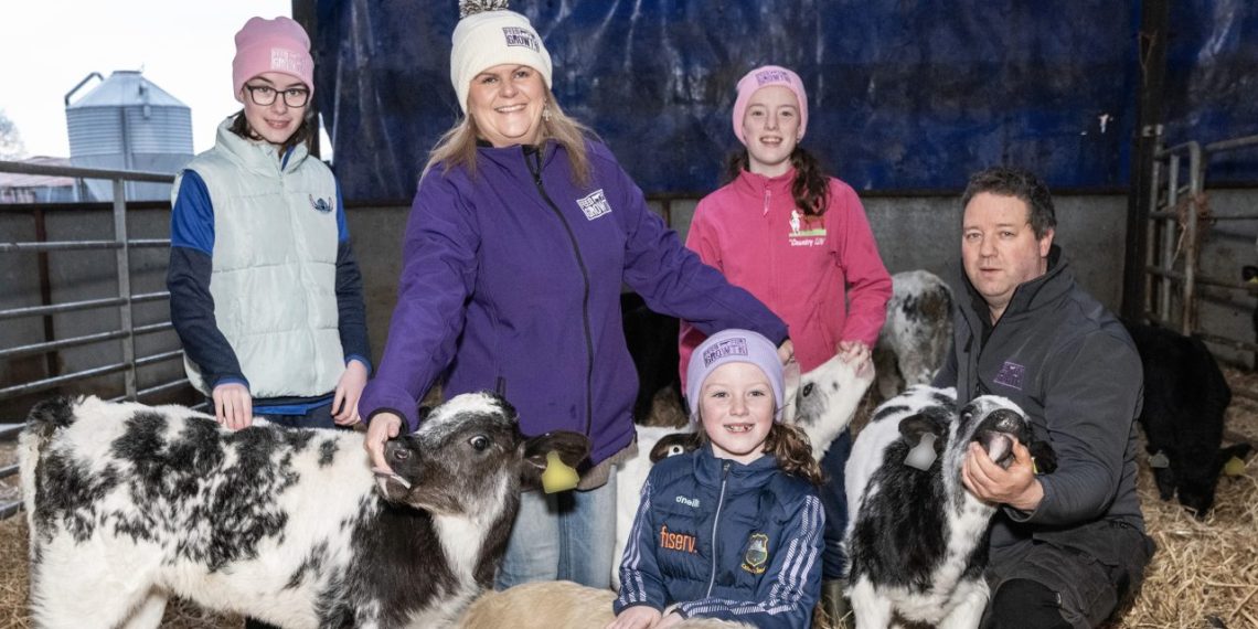 Tipperary dairy farmer raises ‘happiest, healthy calves’ Tipperary dairy farmer raises ‘happiest, healthy calves’