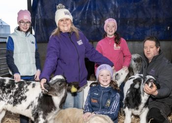 Tipperary dairy farmer raises ‘happiest, healthy calves’