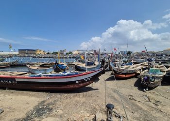 Ghana National Association of Farmers and Fishermen elects new regional executives