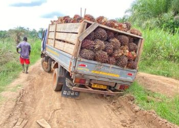 A/R: Farmers in Anomawobi struggle to cart produce to market