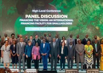 Global and African Financial Experts Urge Action to Enhance Smallholder Farmer Financing