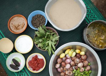 New SDG indicator on Minimum Dietary Diversity adopted by UN Statistical Commission