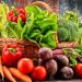 US0m vegetables cold chain prospect untapped