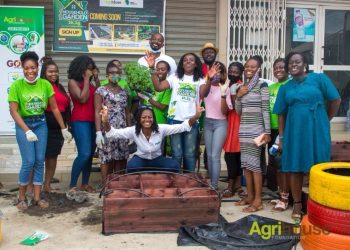 Boost-To-Bloom Project: Agrihouse Foundation’s Bold Bet on Youth, Horticulture and Inclusive Agribusiness in Northern Ghana