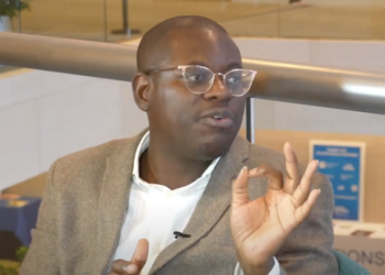 ‘IMF targets will be irrelevant by 2028’ – Bright Simons warns against programme exit