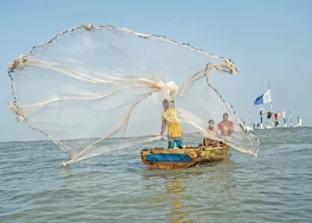 JRFE urges MoFAD to seek scientific measures to rebuild fish stocks