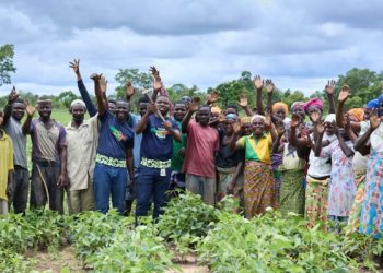 Tullow, Innohub launch Year 2 of Tullow AgriVentures Programme to scale impact in agribusiness sector