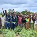 Tullow, Innohub launch Year 2 of Tullow AgriVentures Programme to scale impact in agribusiness sector