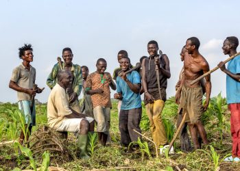 New IFAD €3 million loan to create 10,000 rural jobs in Benin