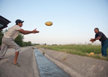 To feed the population, sustainable water management is essential, UN report says