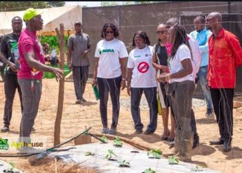 Boost-to-Bloom project:  Unlocking youth-led horticulture for growth in northern Ghana