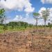 World Bank supports Ghana with 5.94m to tackle climate-related agricultural losses  