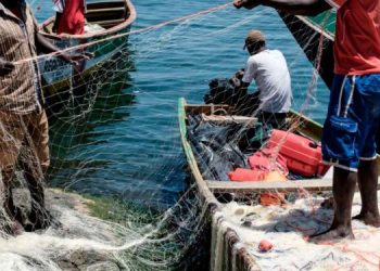 Fisher groups call for fisheries representation within District Assemblies
